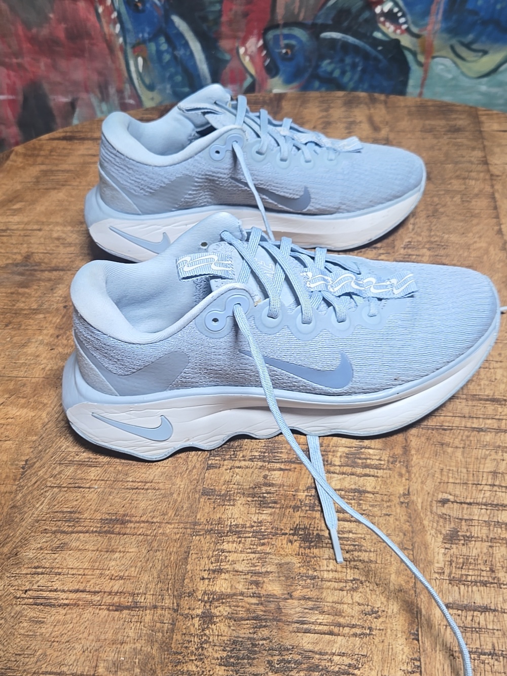 Nike Pale Blue Knit Running Shoes